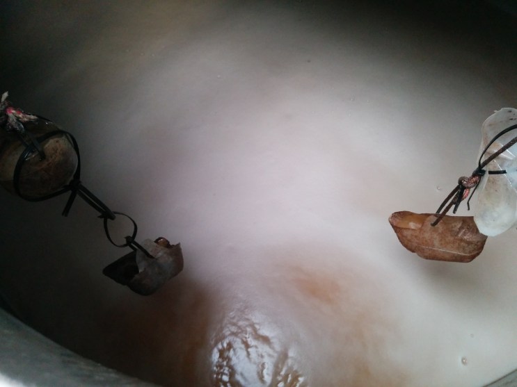 The view from inside one of the washbacks.