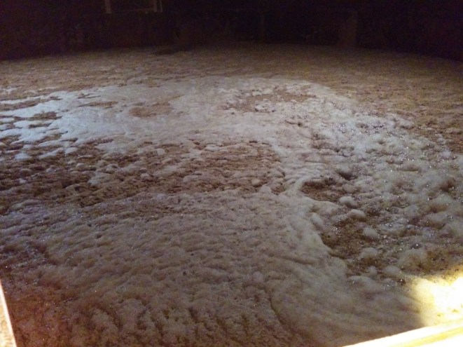 The view from inside the mash tun.