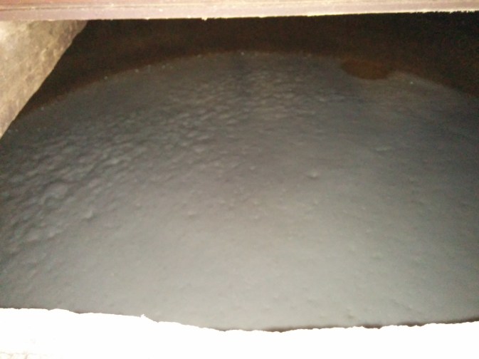 The view of the wash being fermented inside one of the washbacks.