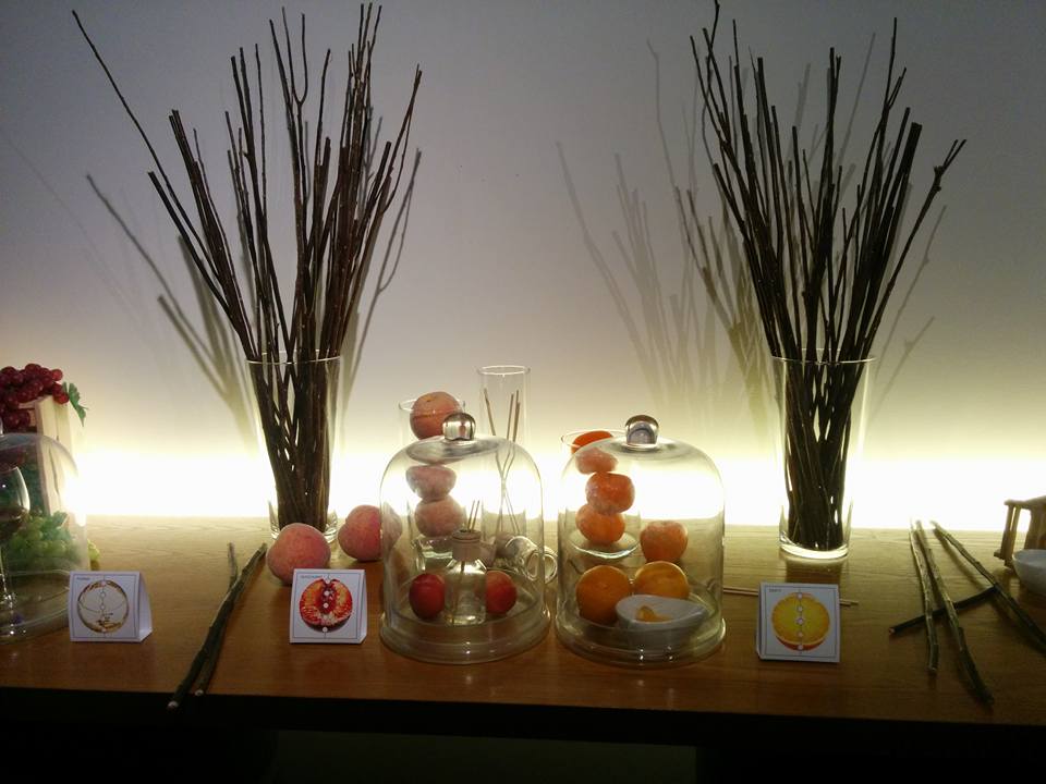 12341217_1651542775098012_7433189561282954317_n