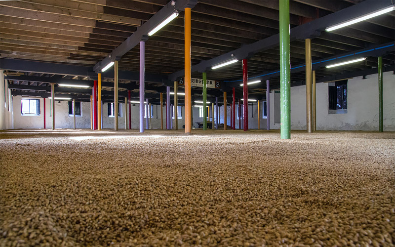 springbankmaltings_800