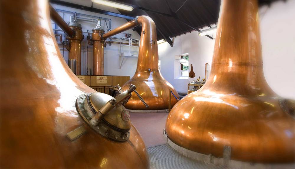 bkgd_visit_BlairAthol_101308_0311-visitbkgd-4